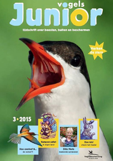 ‘Vogels Junior’ | Vogelbescherming