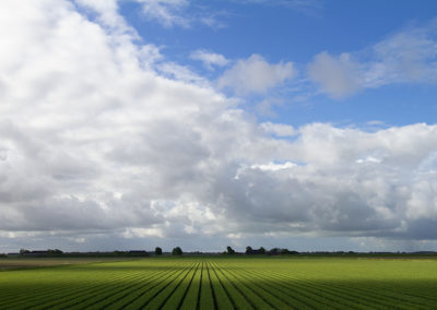 Noordpolder | Noord-Groningen