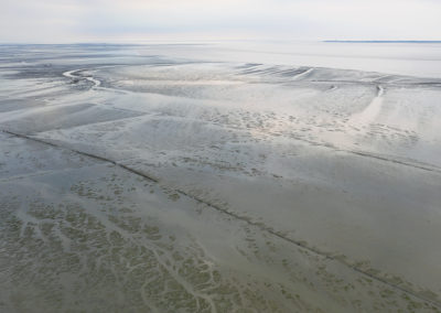 Waddenzee | Noord-Groningen