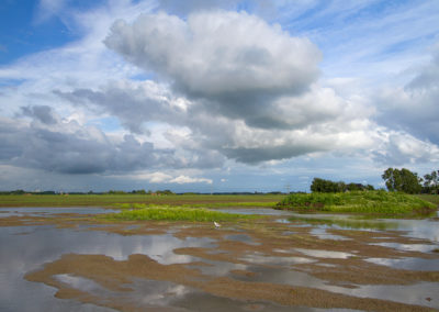 Plasdras voor weidevogels | Groot Wetsinge | Het Hogeland