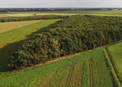 Bos aan Barkelazwet bij Alteveer | Gemeente Stadskanaal